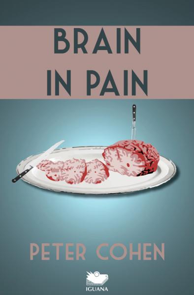 	Brain in Pain: A Wounded Healer's Heart-Wrenching and Heart-Warming Guide to Schizophrenia